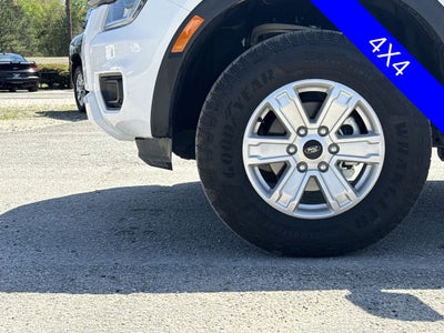 2024 Ford Ranger XL
