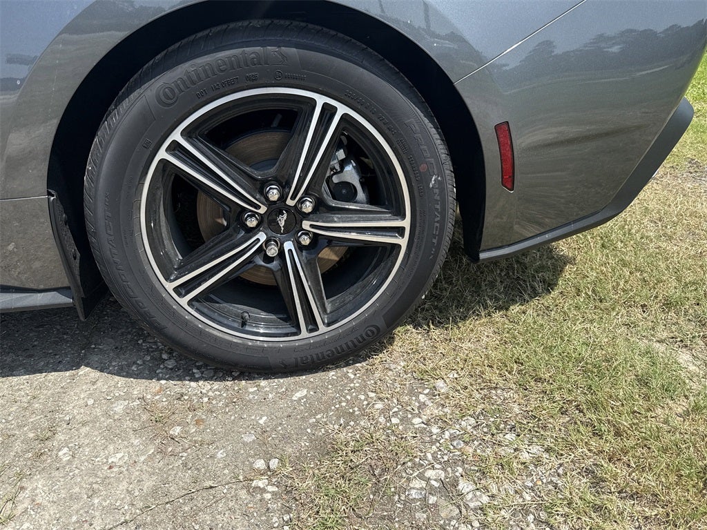 2025 Ford Mustang EcoBoost