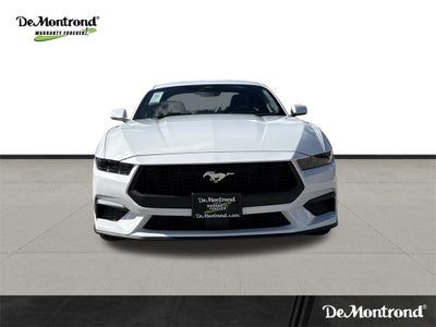 2025 Ford Mustang EcoBoost