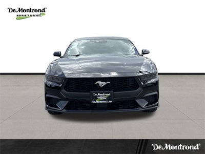2025 Ford Mustang EcoBoost
