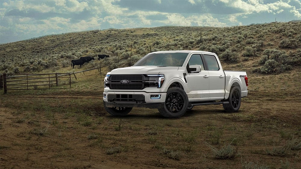 Ford F-150 Platinum