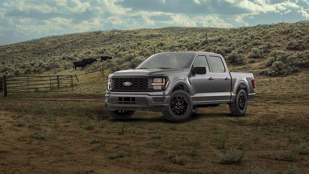 Ford F-150 STX