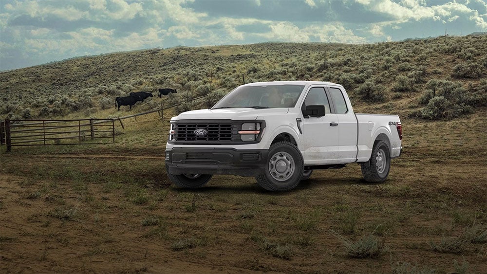 Ford F-150 XL