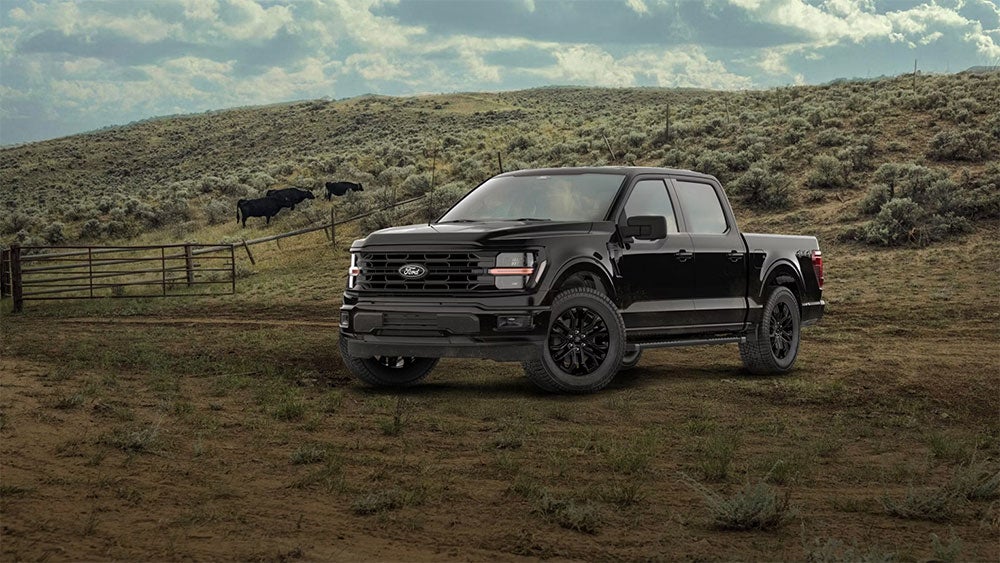 Ford F-150 XLT