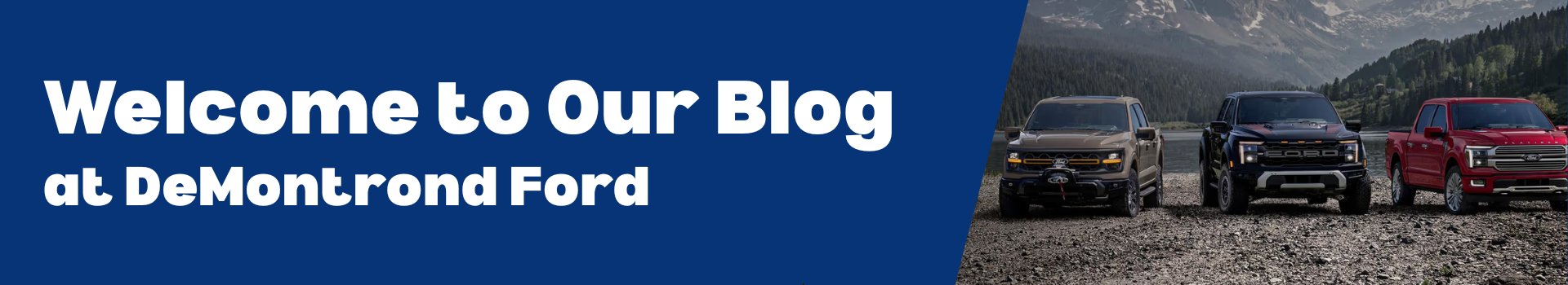 Welcome To Our Blog